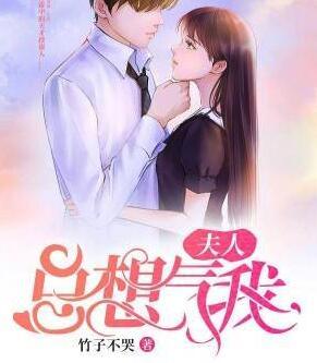 裴怀钰沈朝歌小说
